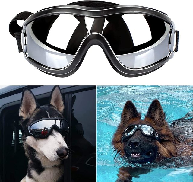 Dog Sunglasses/Goggles for Medium to Large Dogs - Madison's Mutt Mall