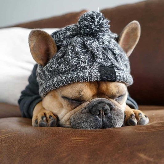 Warm Winter Knit Dog Hat - Madison's Mutt Mall
