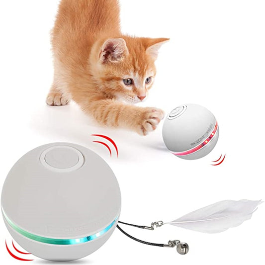 USB Charging LED Cat Toy - Madison's Mutt Mall