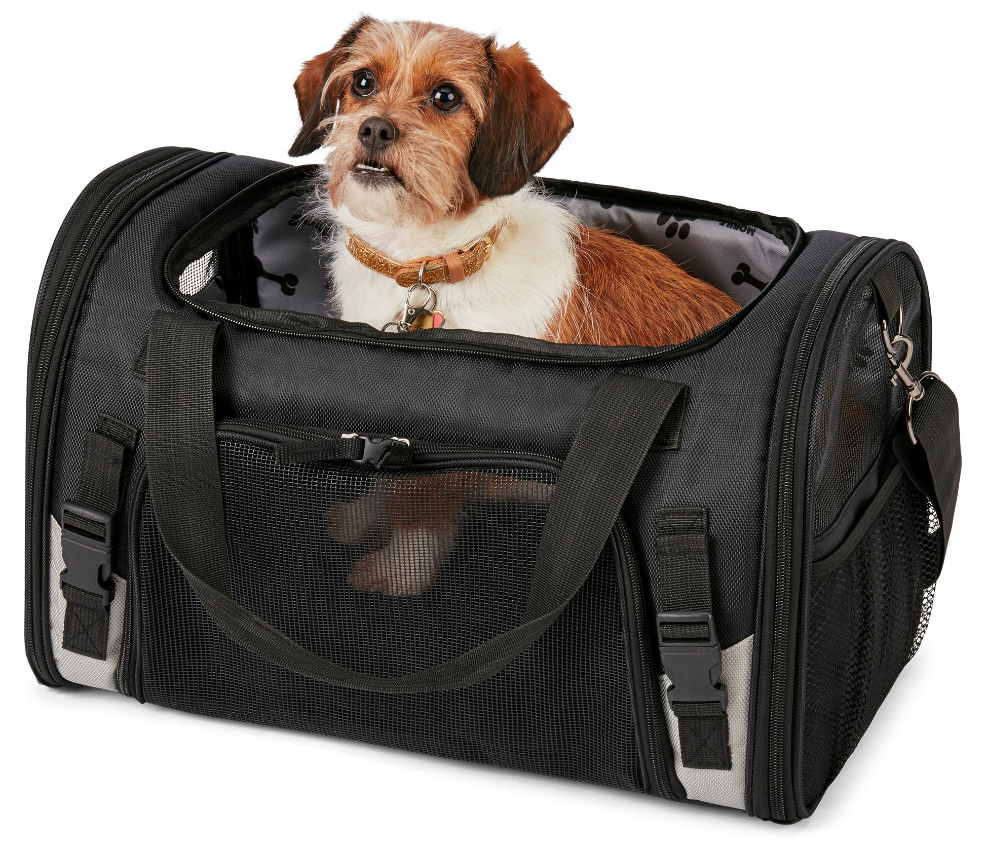 Pet Carrier Plus - Madison's Mutt Mall