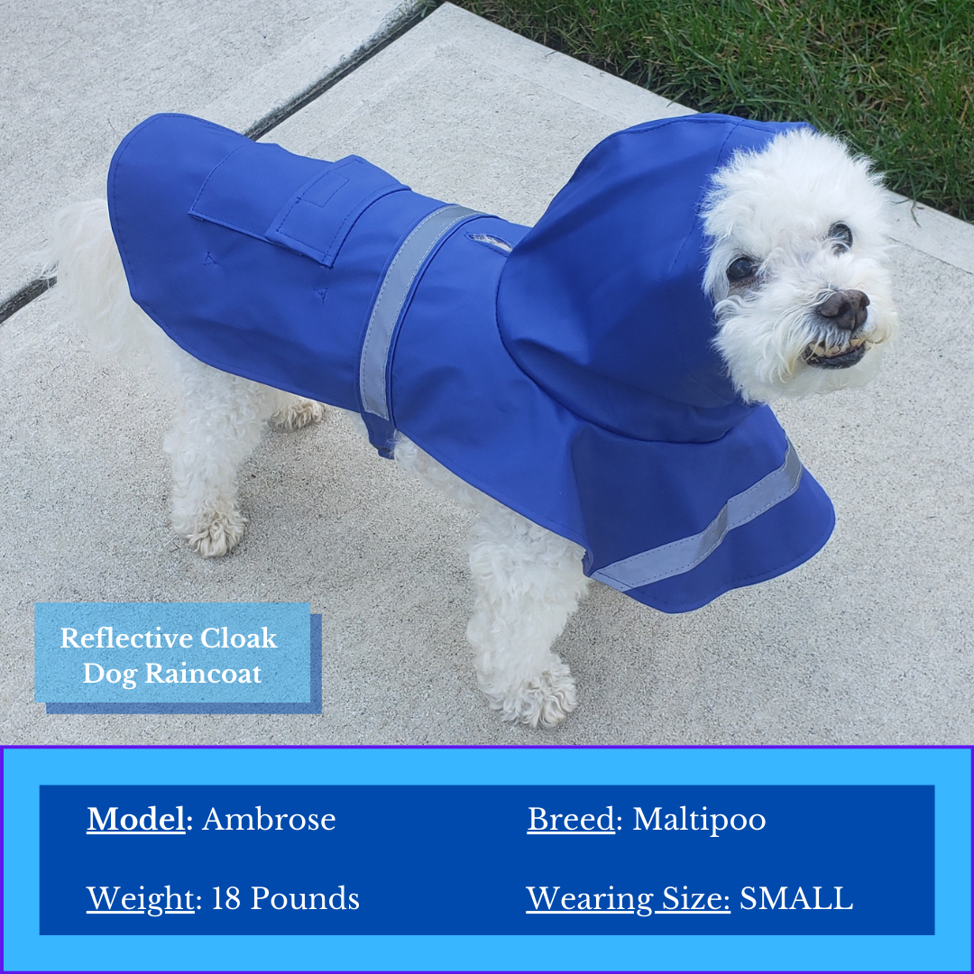 Reflective Cloak Dog Raincoat - Madison's Mutt Mall