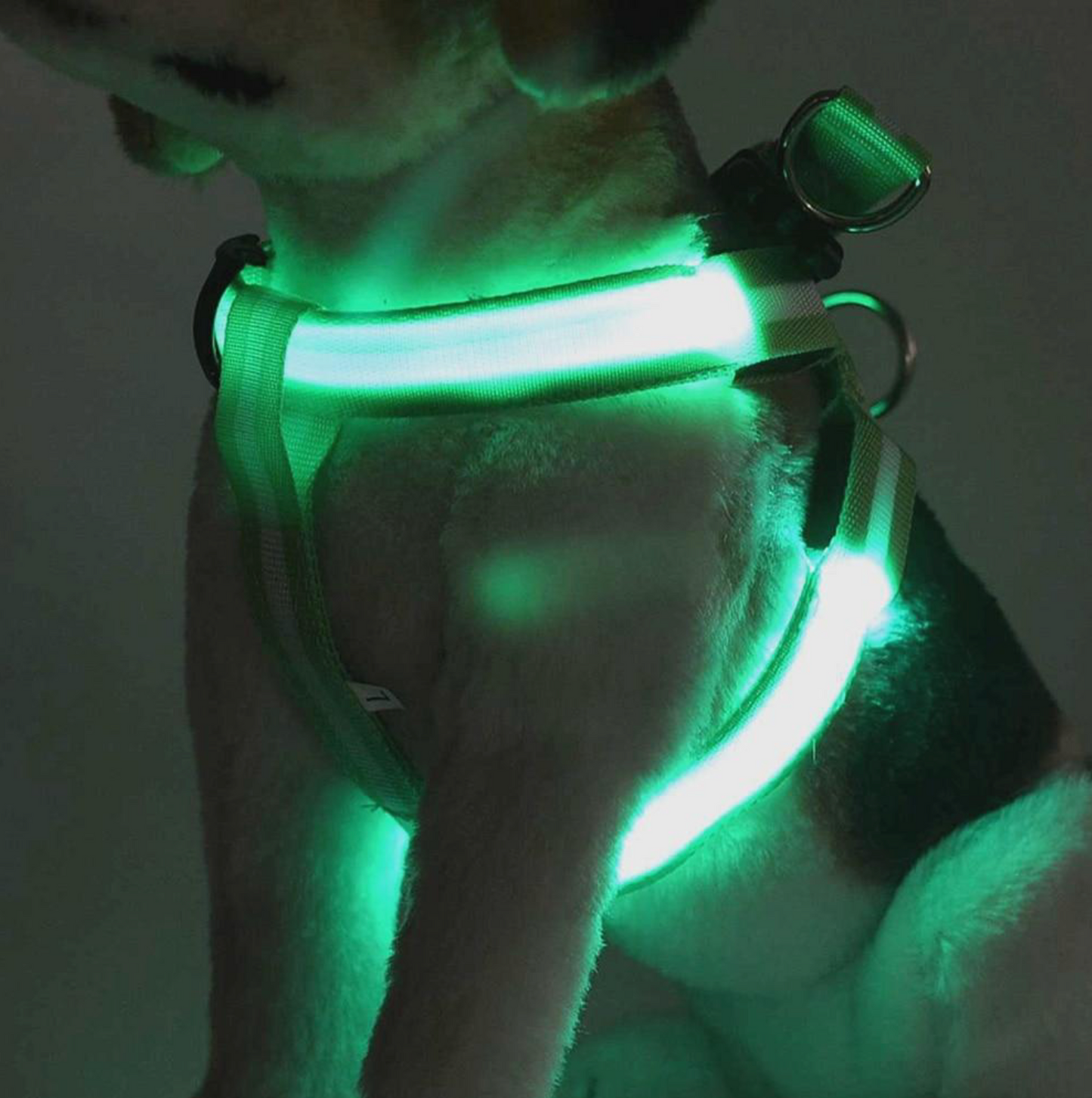 USB Charging LED Dog Harness - Madison's Mutt Mall