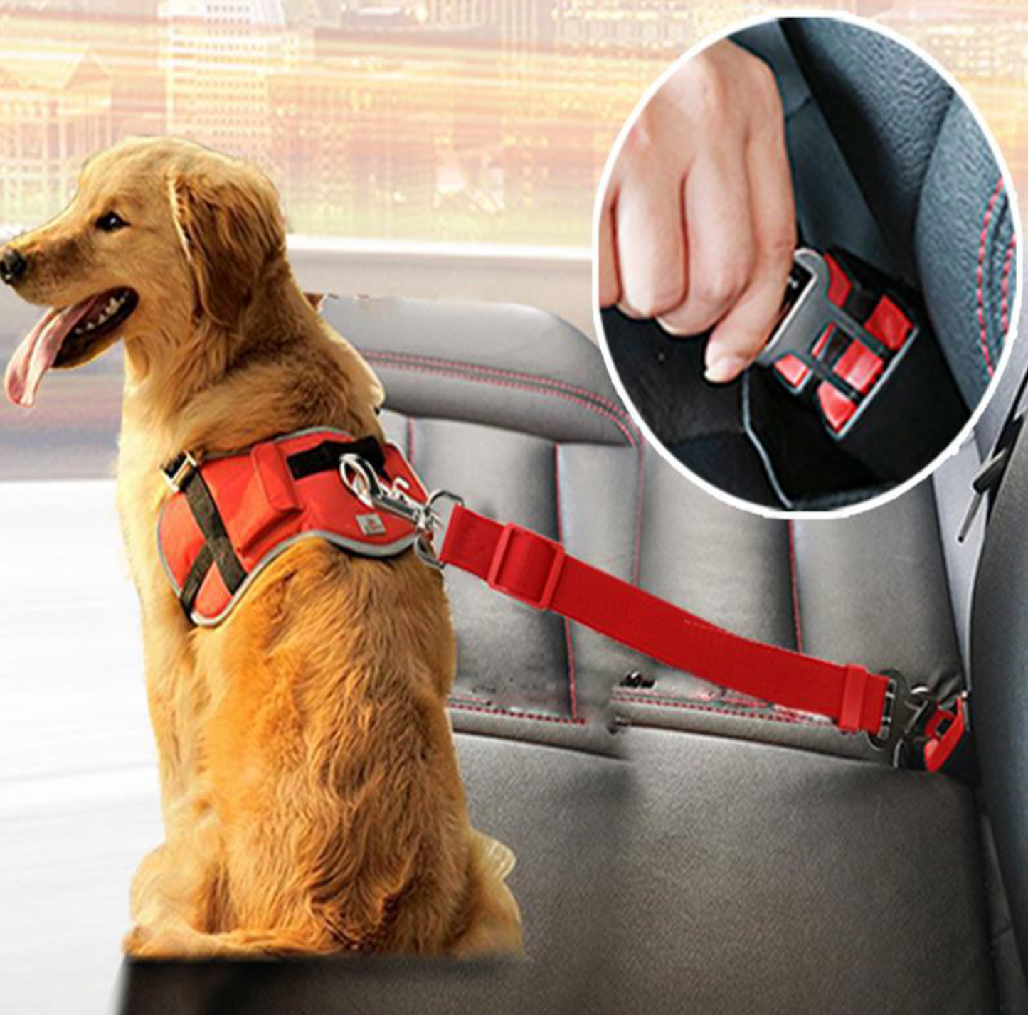 Dog Safety Seat Belt - Madison's Mutt Mall