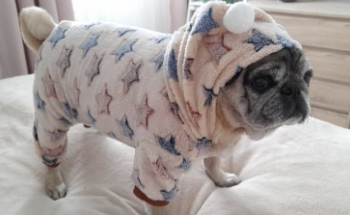 Warm Puppy Pajamas - Madison's Mutt Mall