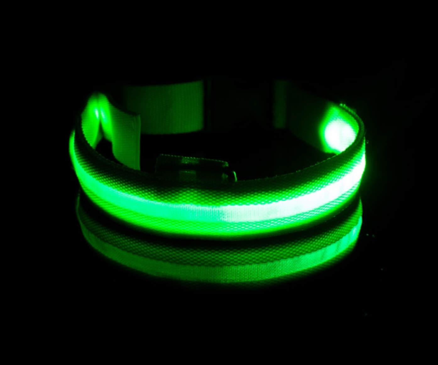 Battery Operated Led Dog Collar - Madison's Mutt Mall