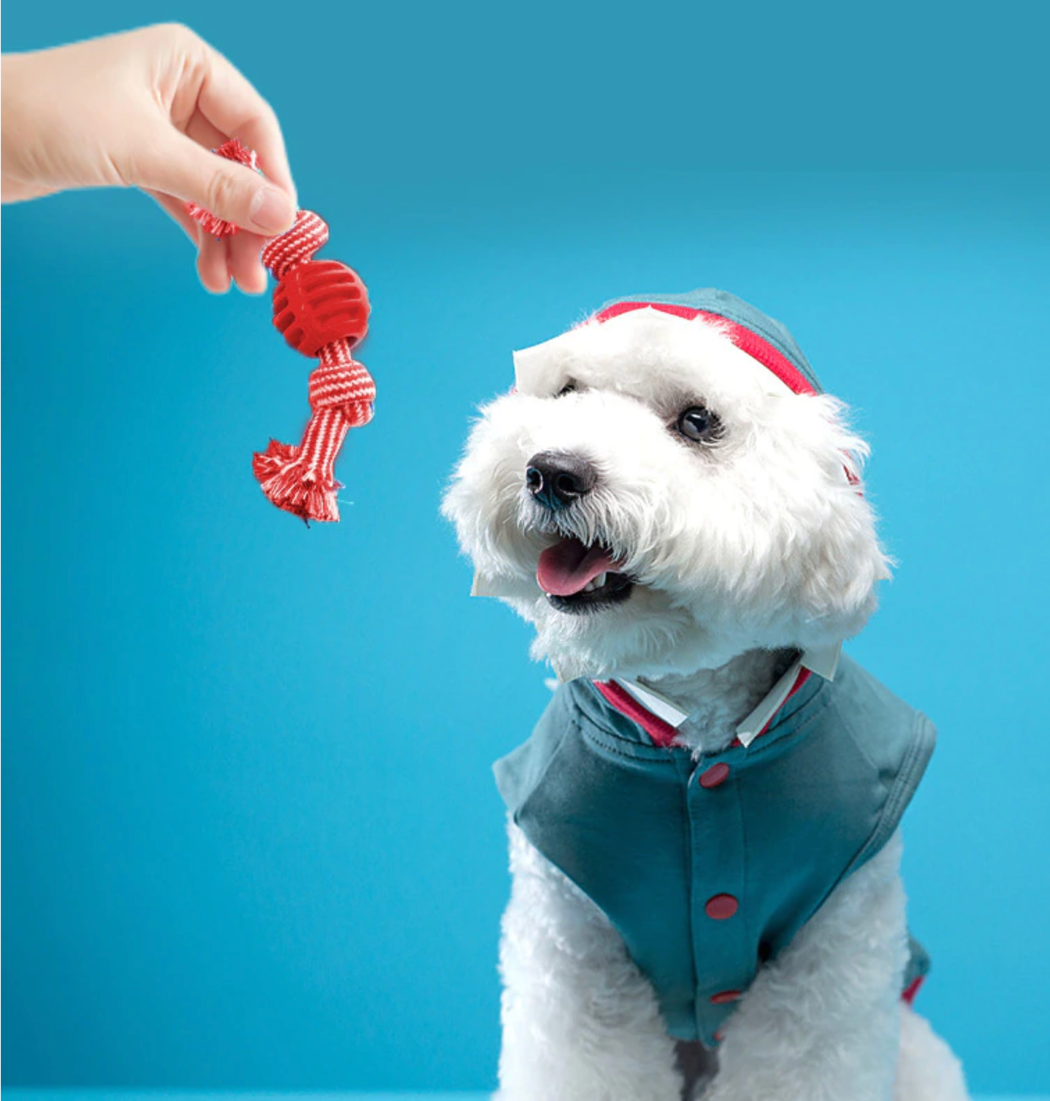 Bite Resistant Teething Rope Toy - Madison's Mutt Mall