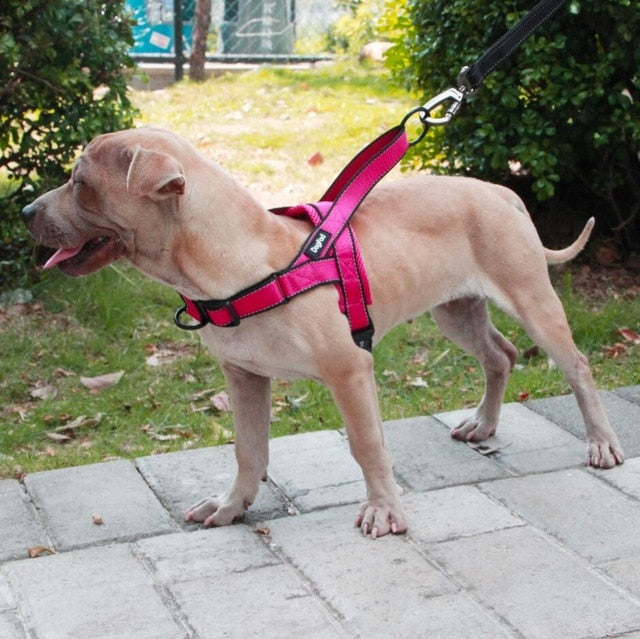 Reflective Adjustable Dog Harness - Madison's Mutt Mall