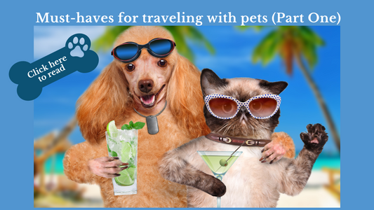 Must-haves for traveling with pets (Part One)