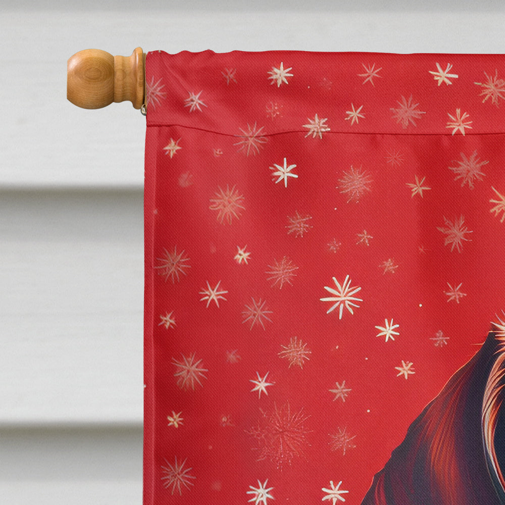 Dachshund Holiday Christmas House Flag