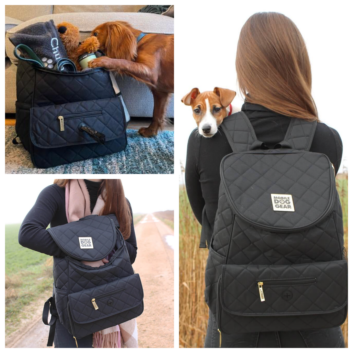 Pet Weekender Backpack