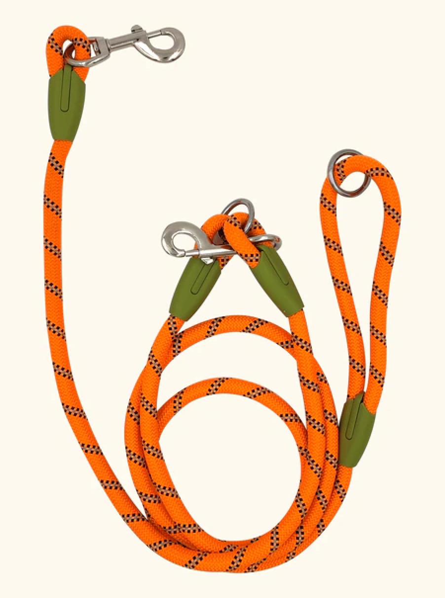 Reflective Nylon Dog Leash