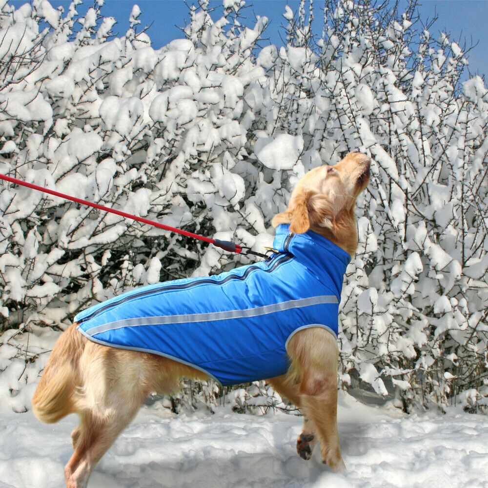 Waterproof Dog Vest/Jacket - Madison's Mutt Mall