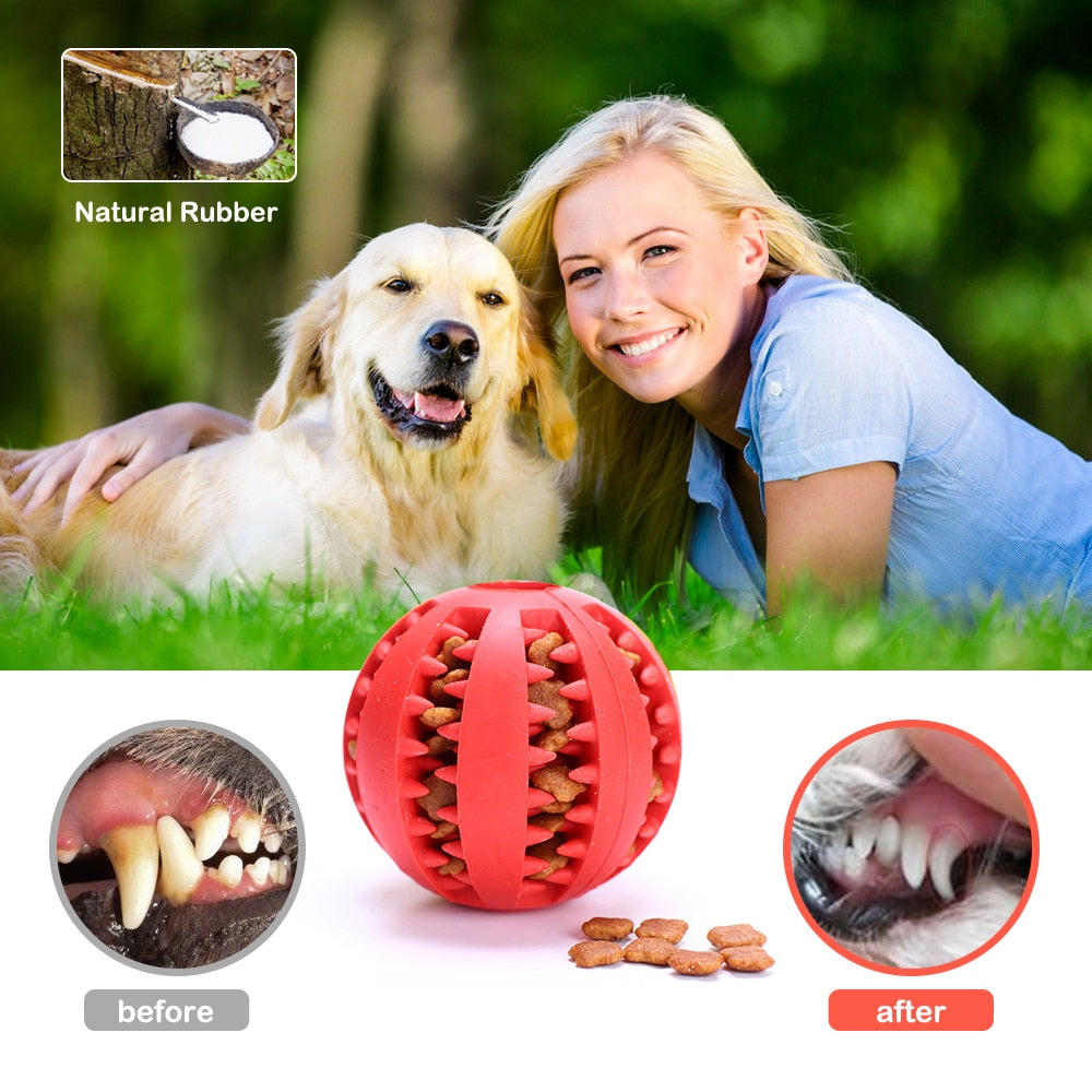 Interactive Dog Treat Ball - Madison's Mutt Mall