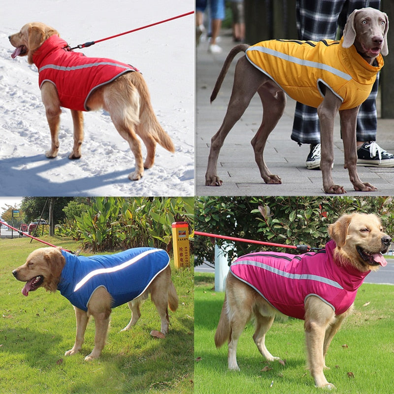 Waterproof Dog Vest/Jacket - Madison's Mutt Mall