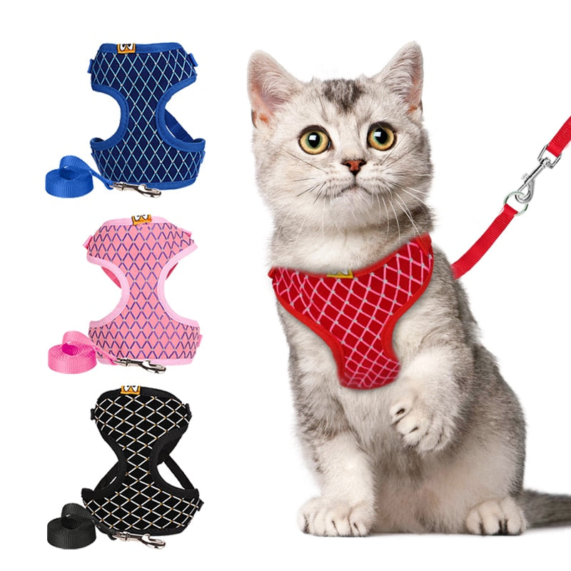 Pet Harness And Leash Set - Madison's Mutt Mall