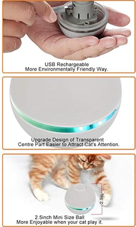 USB Charging LED Cat Toy - Madison's Mutt Mall