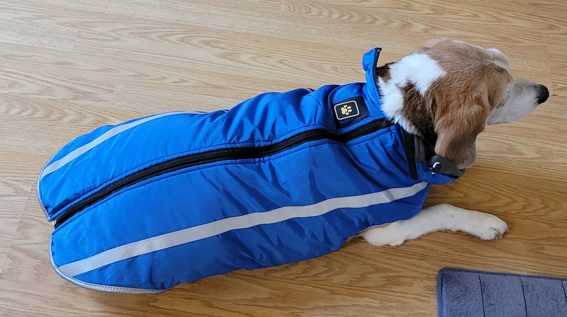 Waterproof Dog Vest/Jacket - Madison's Mutt Mall