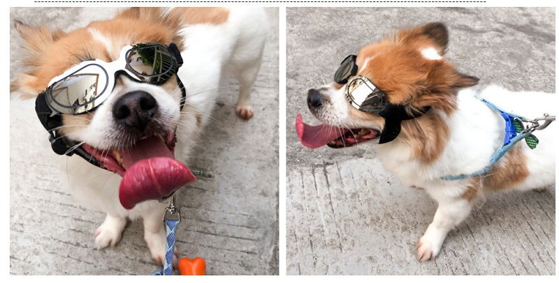 UV Protection Dog Sunglasses - Madison's Mutt Mall