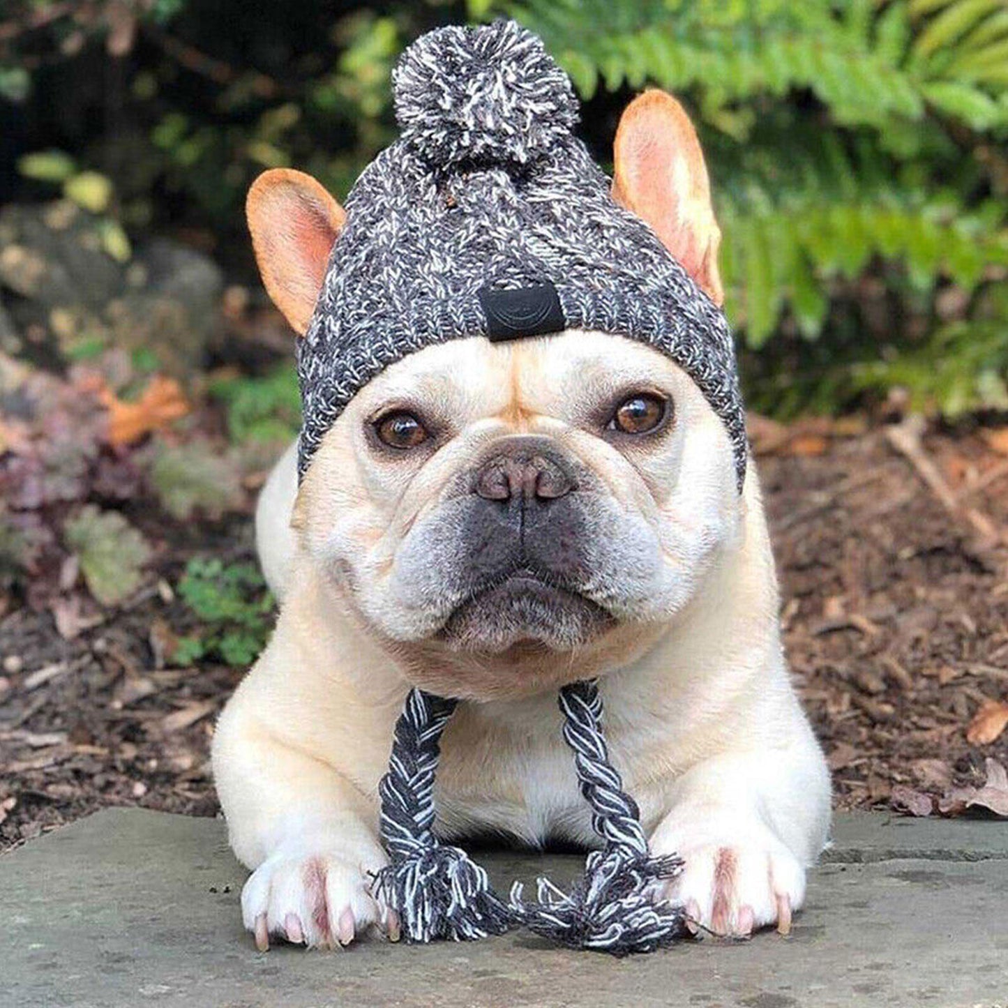 Warm Winter Knit Dog Hat - Madison's Mutt Mall