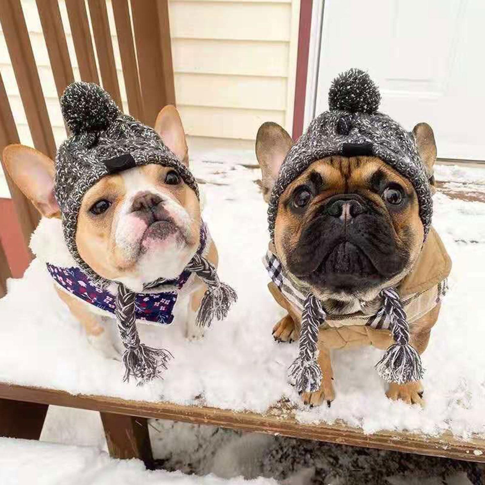 Warm Winter Knit Dog Hat - Madison's Mutt Mall