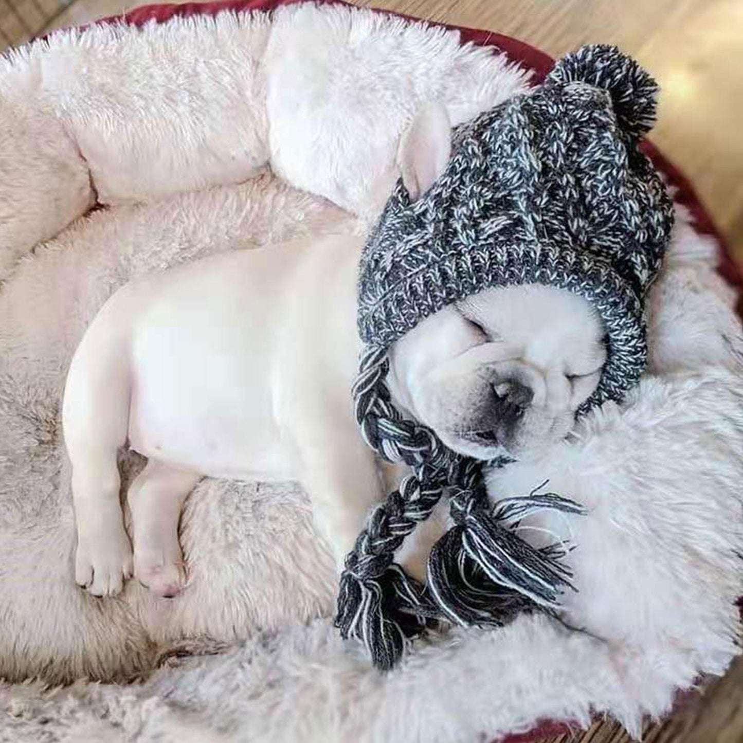 Warm Winter Knit Dog Hat - Madison's Mutt Mall