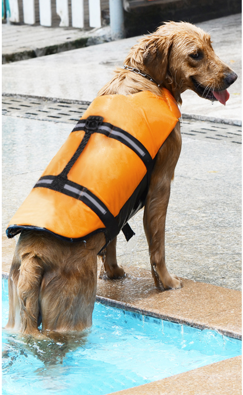 Dog Life Vest/Jacket - Madison's Mutt Mall