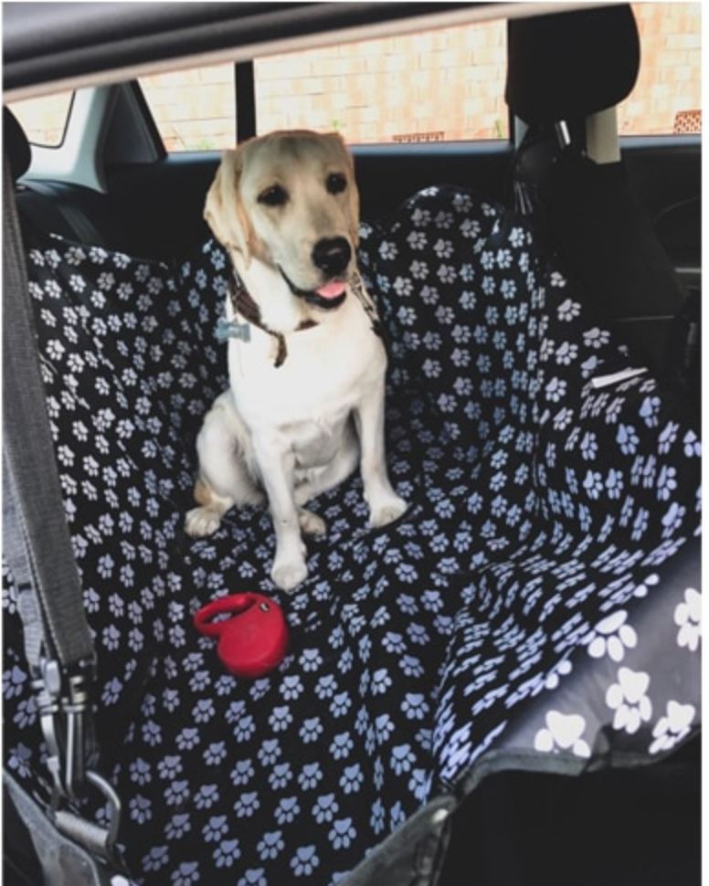 Waterproof Pet Hammock Car Seat Protector - Madison's Mutt Mall