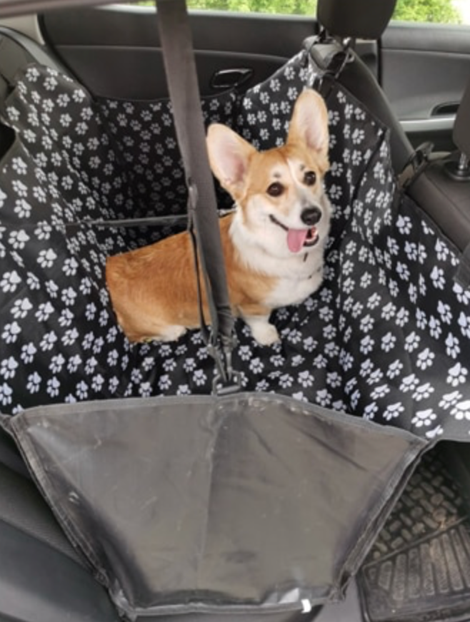 Waterproof Hammock Pet Car Seat Cover