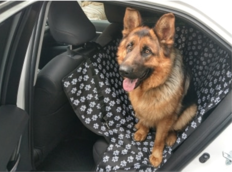 Waterproof Pet Hammock Car Seat Protector - Madison's Mutt Mall