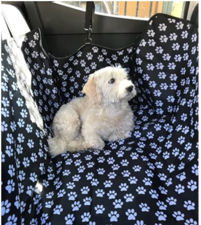 Waterproof Pet Hammock Car Seat Protector - Madison's Mutt Mall