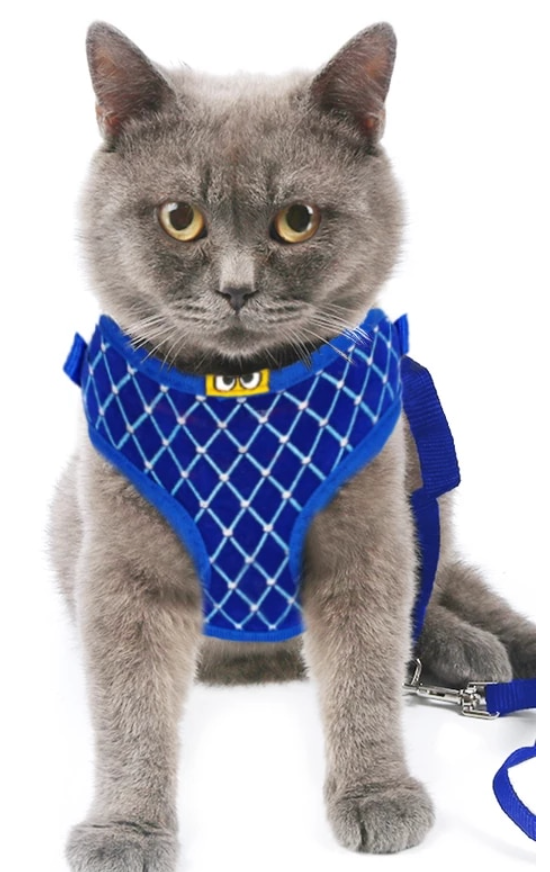 Pet Harness And Leash Set - Madison's Mutt Mall