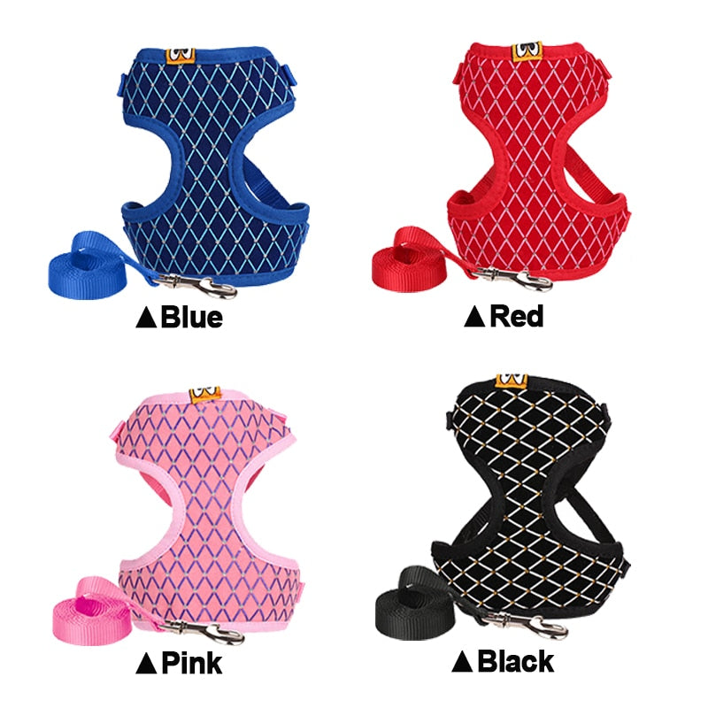 Pet Harness And Leash Set - Madison's Mutt Mall