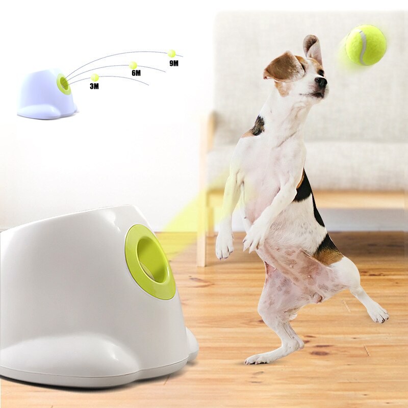 Automatic Dog Ball Launcher - Madison's Mutt Mall