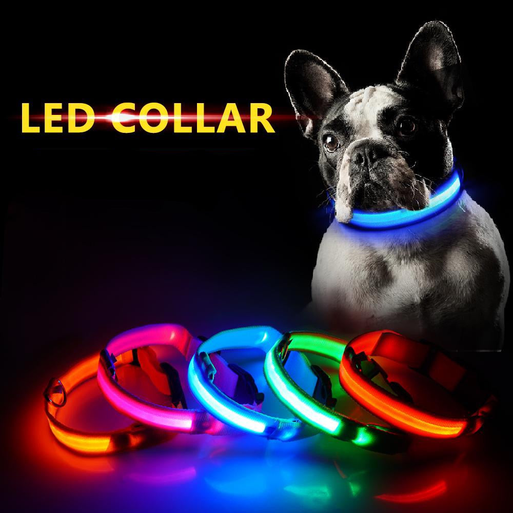 USB Charging Led Dog Collar - Madison's Mutt Mall