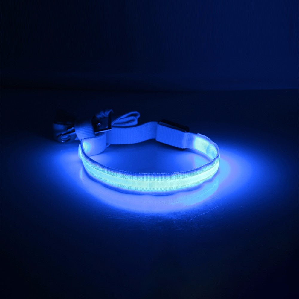 Battery Operated LED Dog Leash - Madison's Mutt Mall