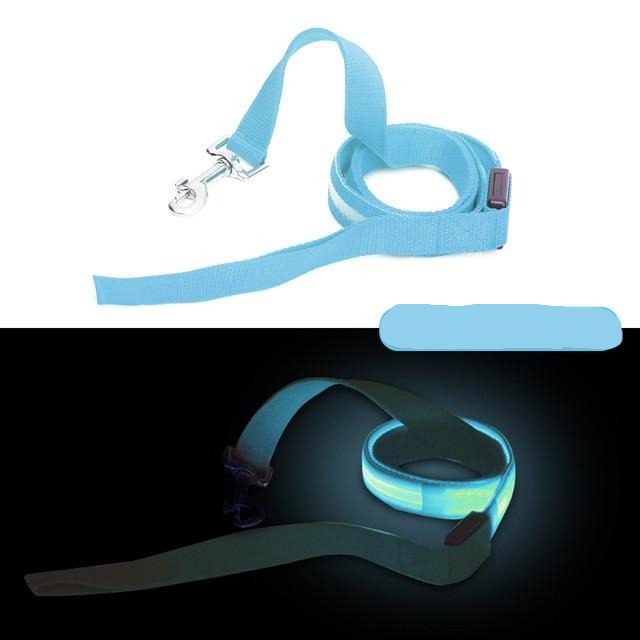 Battery Operated LED Dog Leash - Madison's Mutt Mall