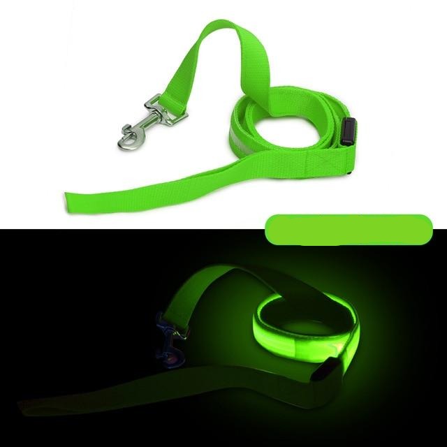 Battery Operated LED Dog Leash - Madison's Mutt Mall