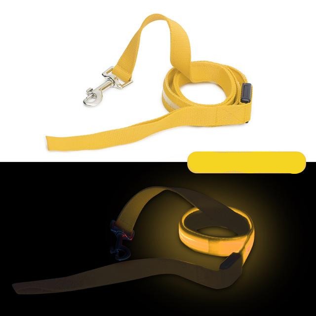 Battery Operated LED Dog Leash - Madison's Mutt Mall