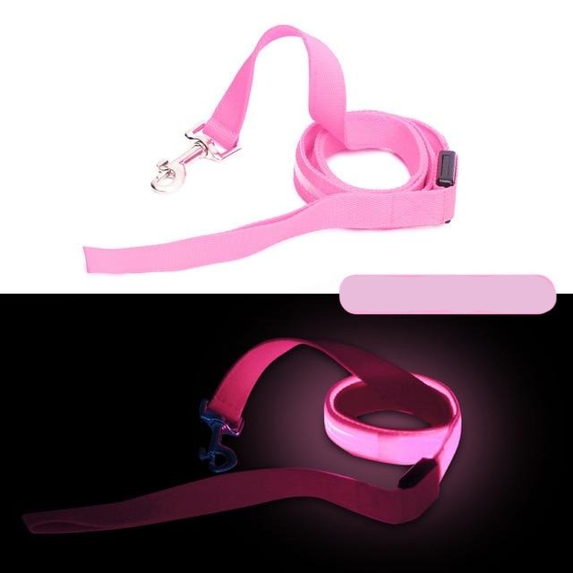 Battery Operated LED Dog Leash - Madison's Mutt Mall