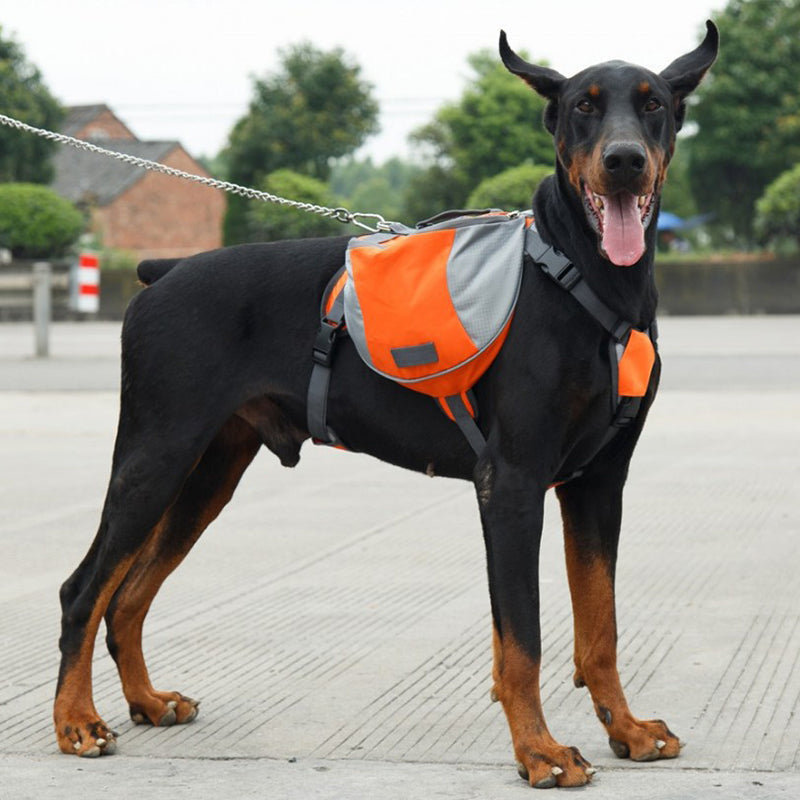 Outdoor Dog Backpack/Harness - Madison's Mutt Mall