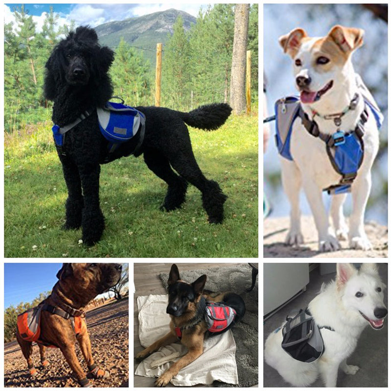 Outdoor Dog Backpack/Harness - Madison's Mutt Mall